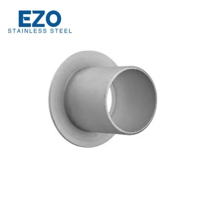 Stainless Steel ISO PED Customize Sandblasting Seamless Pipe Stub End